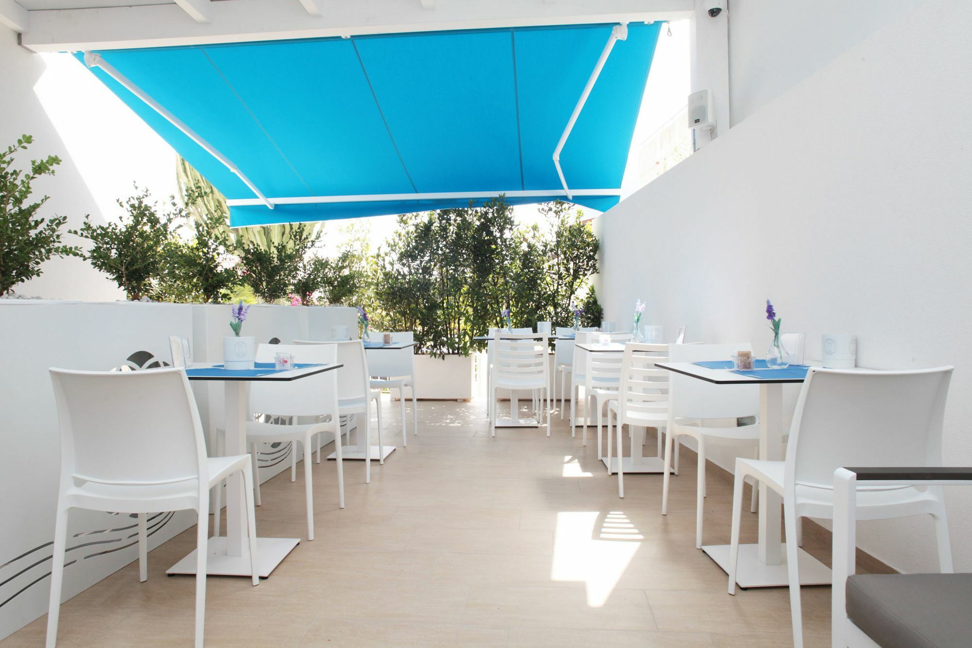 סן ויטו לו קאפו Rivazzurra Design Rooms מראה חיצוני תמונה